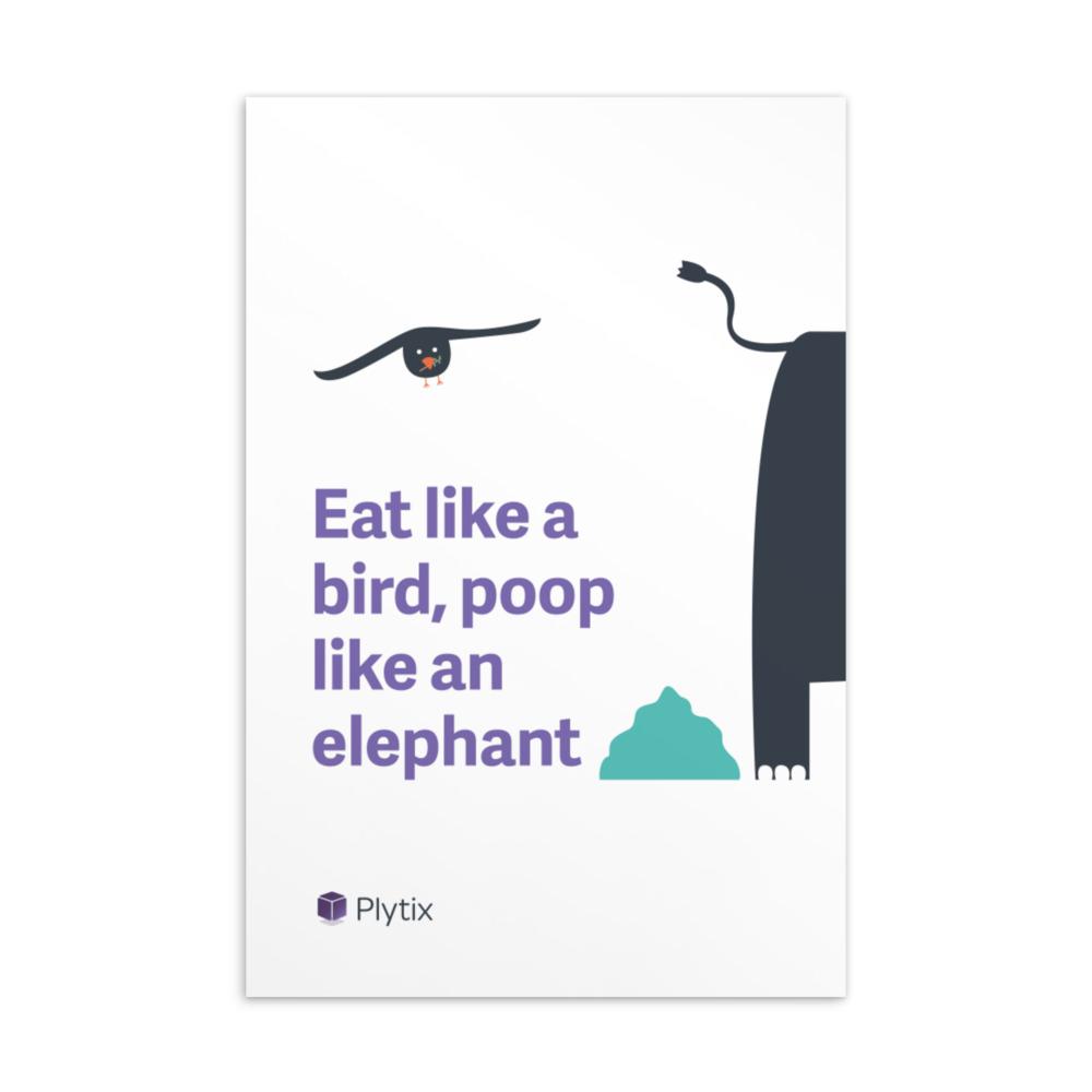 "Eat like a Bird" Postcard